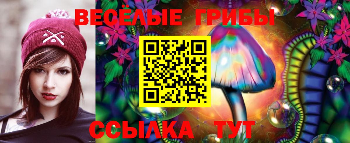 Оренбург  Псилоцибиновые грибы ЛСД  Галлюциногенные грибы Psilocybine cubensis  Вход с VPN 